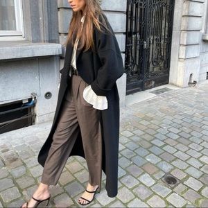 Zara Pleated Dress Trouser Pants Brown Size Large